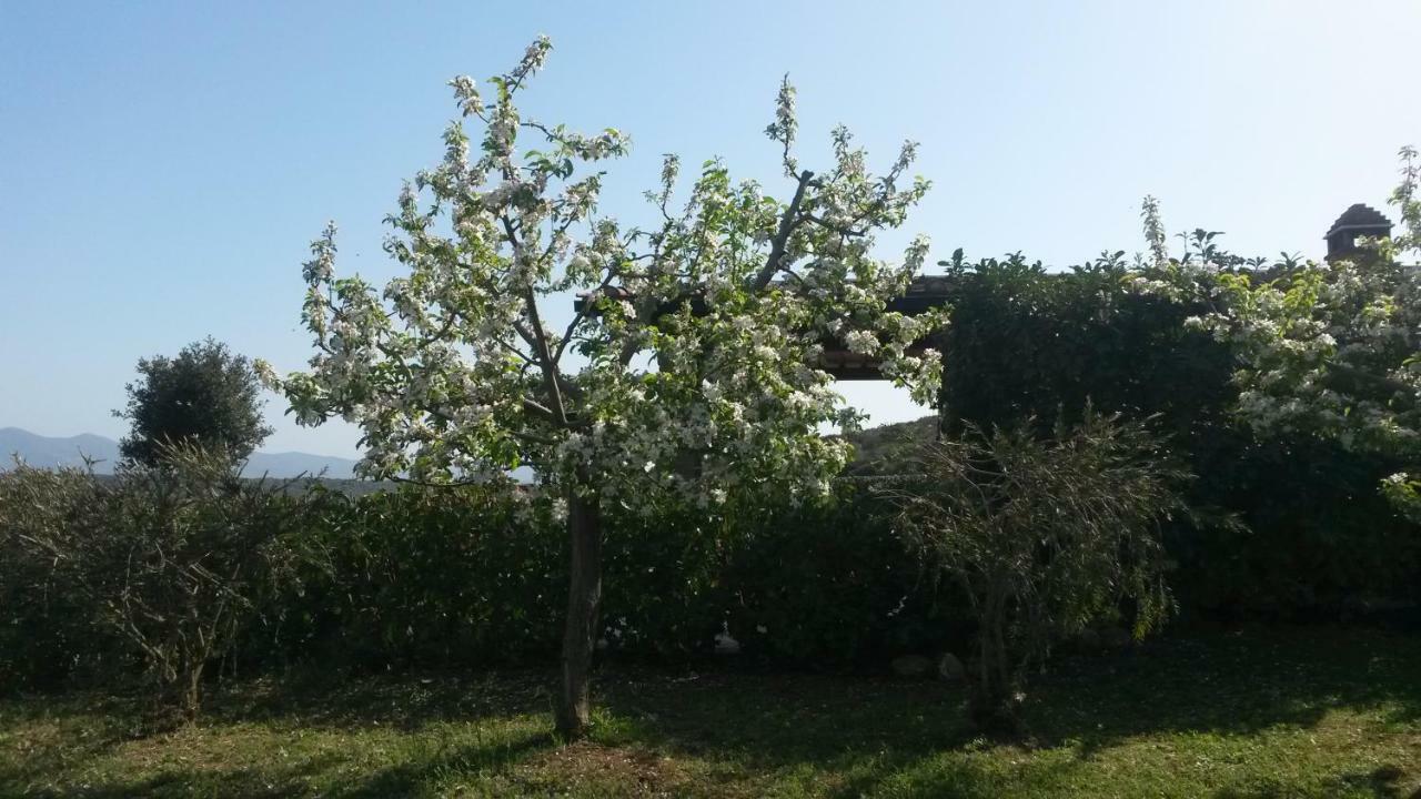 Podere Mammoleta Fattoria la Marsiliana Exteriér fotografie