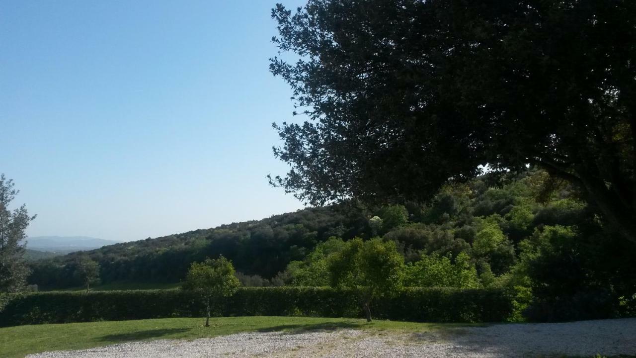 Podere Mammoleta Fattoria la Marsiliana Exteriér fotografie